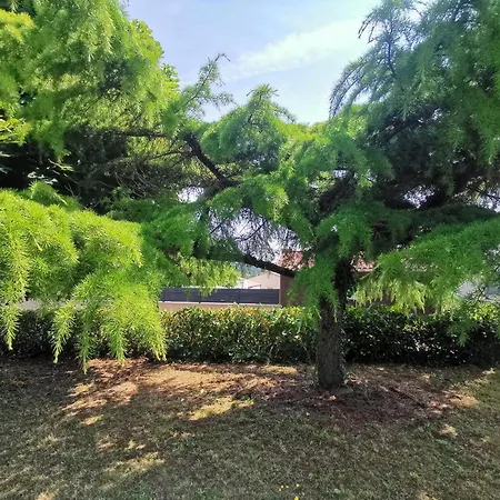 Natura Bella ブレシュイール