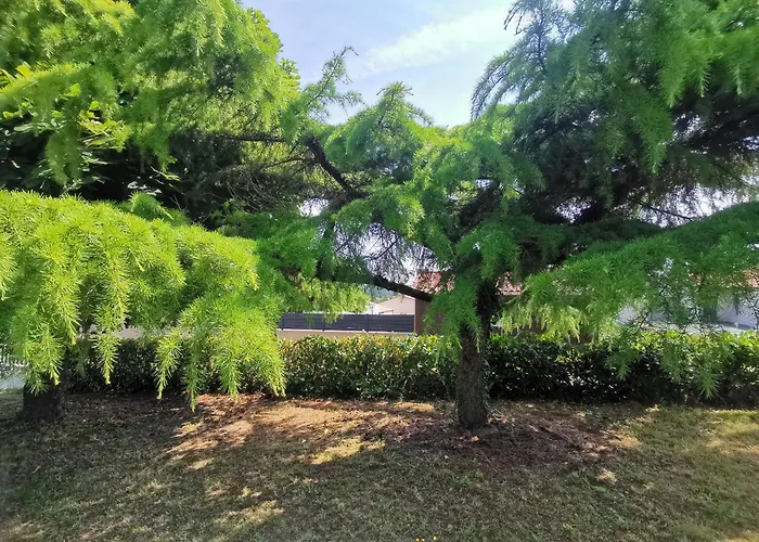 Natura Bella بريزير